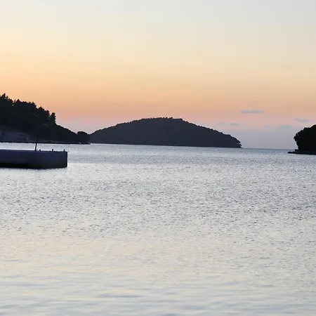 Apartament Seaside Franica *